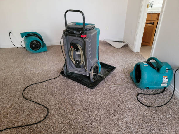 Best Professional water damage repair  in Durham, CA