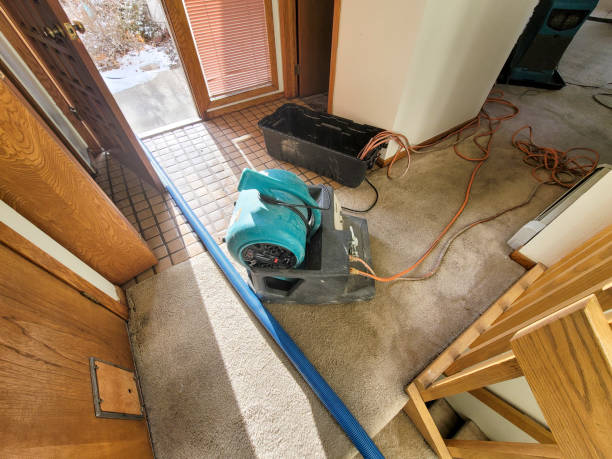 Best Water damage restoration cost  in Durham, CA