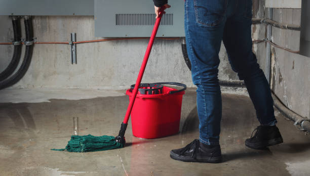 Best Local water damage restoration  in Durham, CA