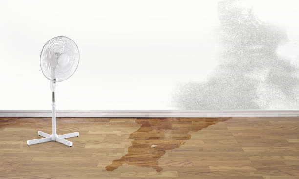 Best Ceiling water damage repair  in Durham, CA