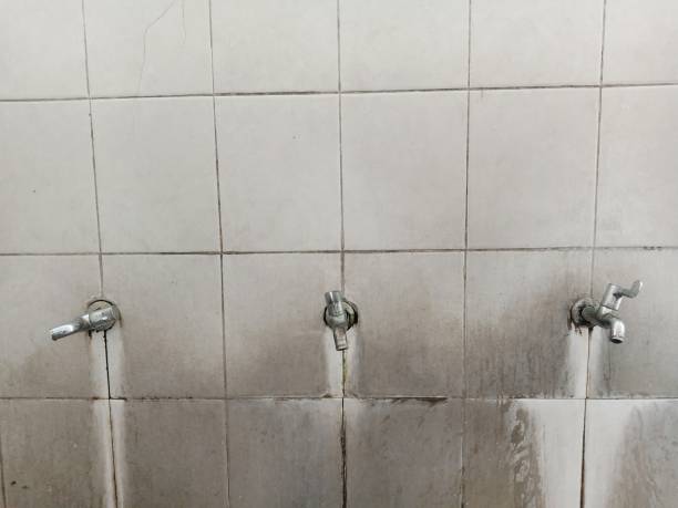 Best Flood restoration services  in Durham, CA