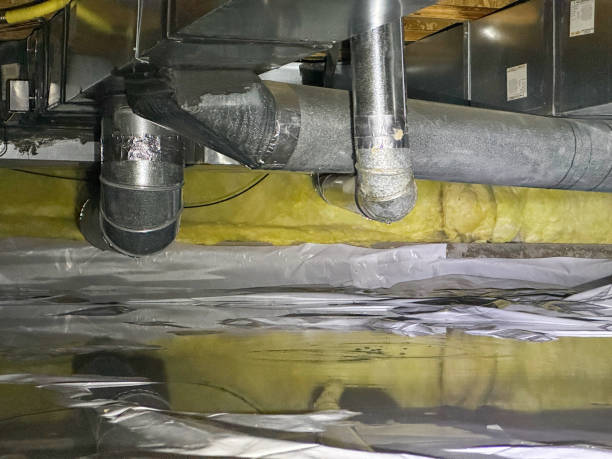 Best Water damage mitigation services  in Durham, CA
