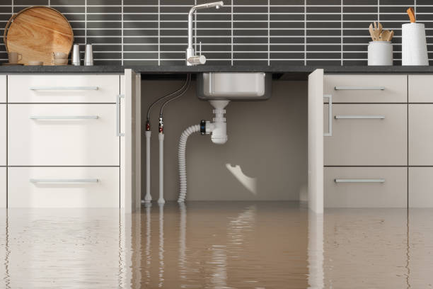 Best Flood damage cleanup  in Durham, CA