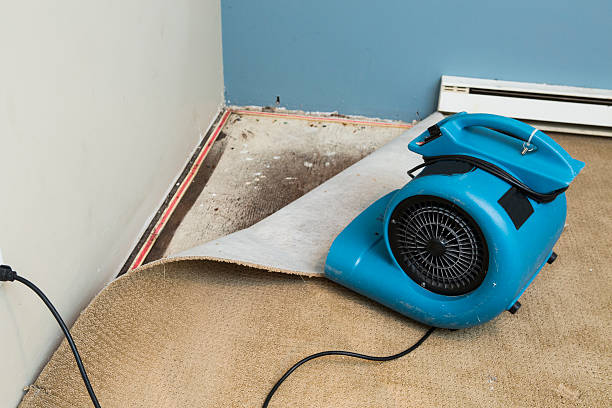 Best Water damage restoration near me  in Durham, CA